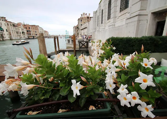 Apartamento Grandelux-canal - Bbc Grand Tour 2024 Recorded Here! *